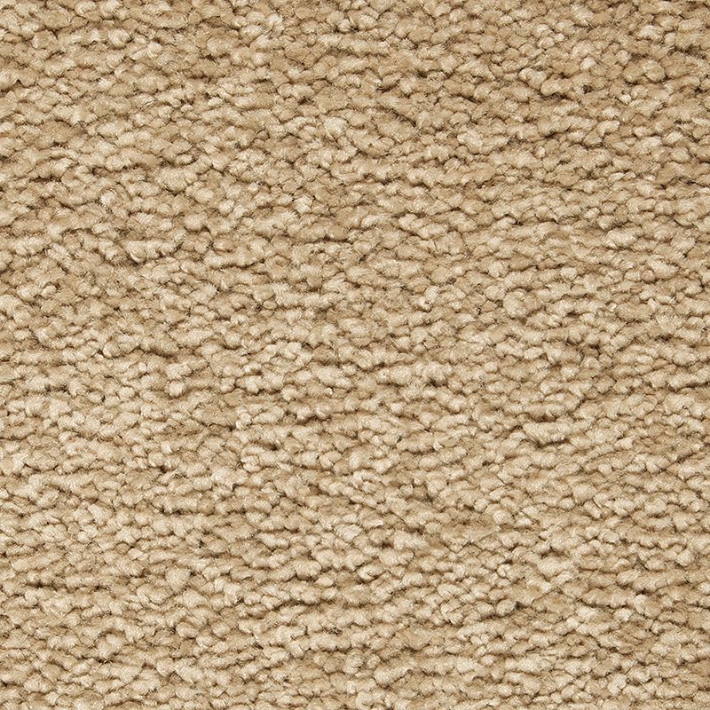 Gentle Approach - 529 - November Foliage