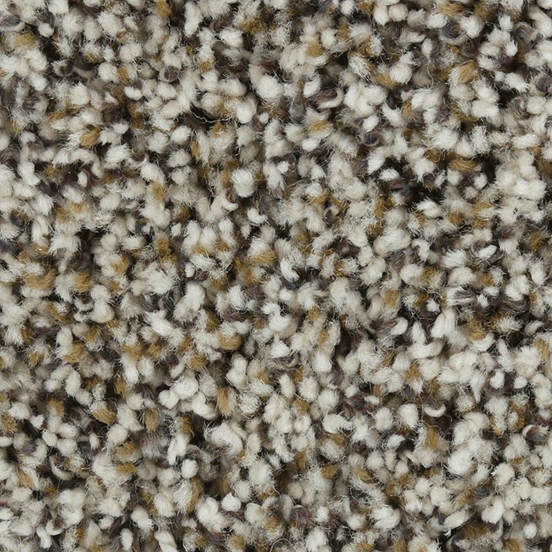 Graceful Harmony II - 805 - Ivory Cream