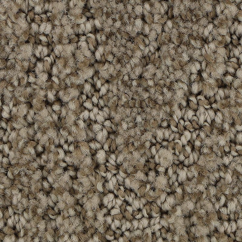 Stylish Trend - 779 - Ancestral
